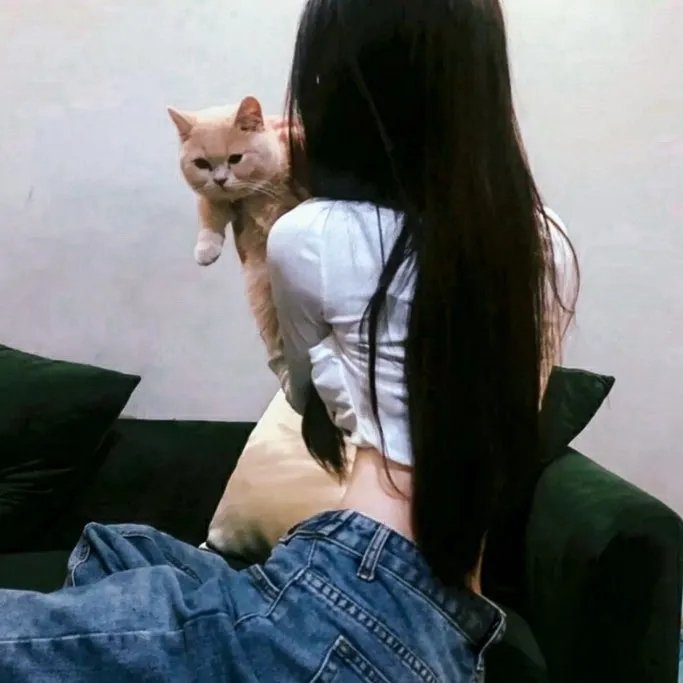 我的女神室友斗娜 封面